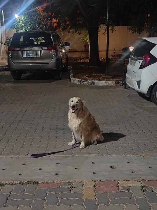 Shalini Vijayagopalan