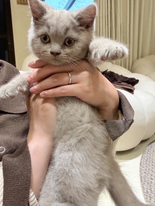 潁潔 陳