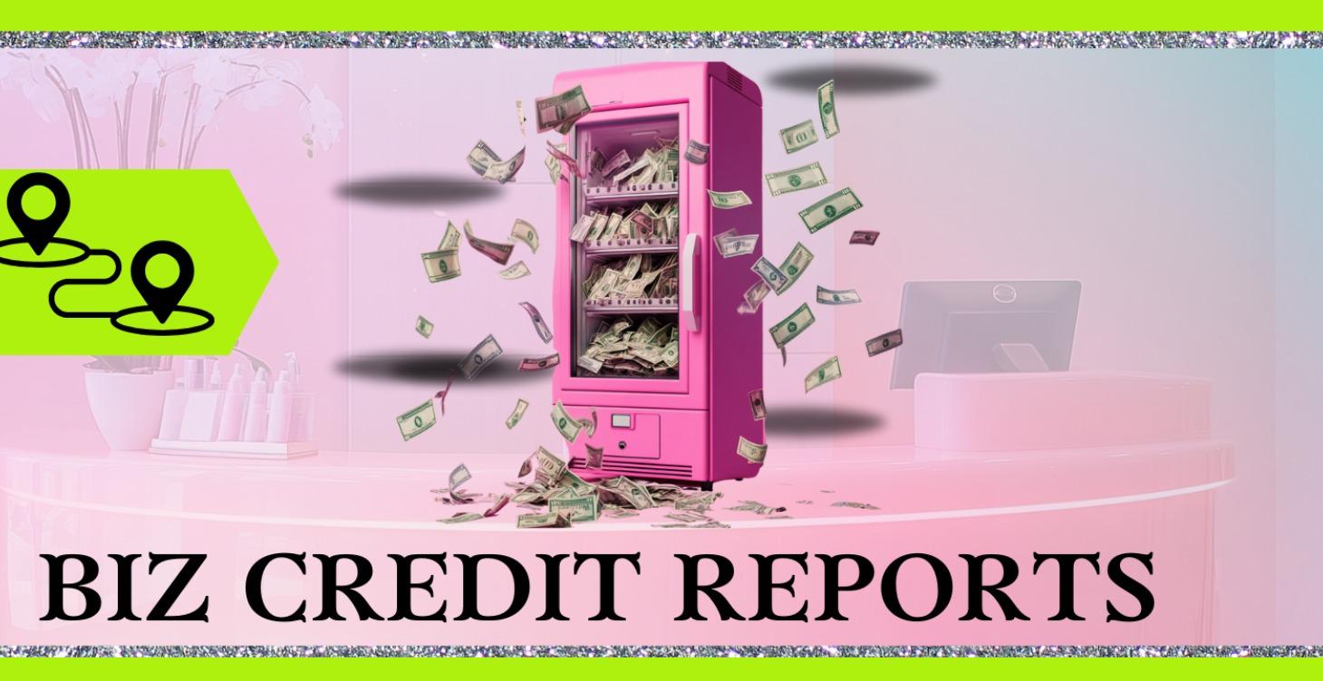 UNDERSTANDING BUSINESS REPORTS