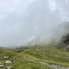 Ripley Burns