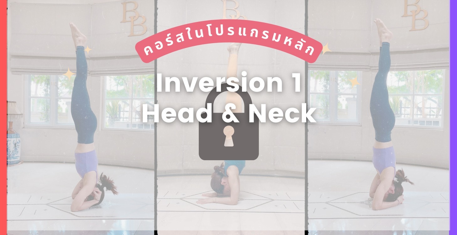 Basic Inversion Bootcamp 🔒