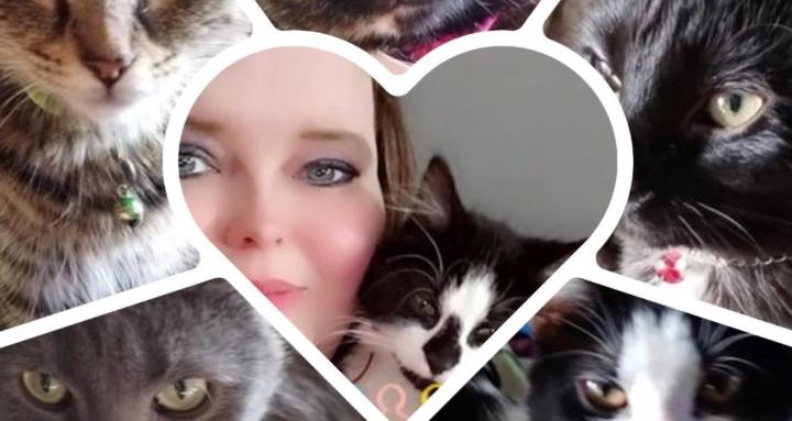 (O.C.D)Obsessive Cat Disorder