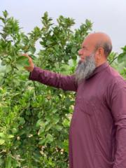 محمد القاضي