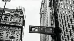 Mr. freedom For life