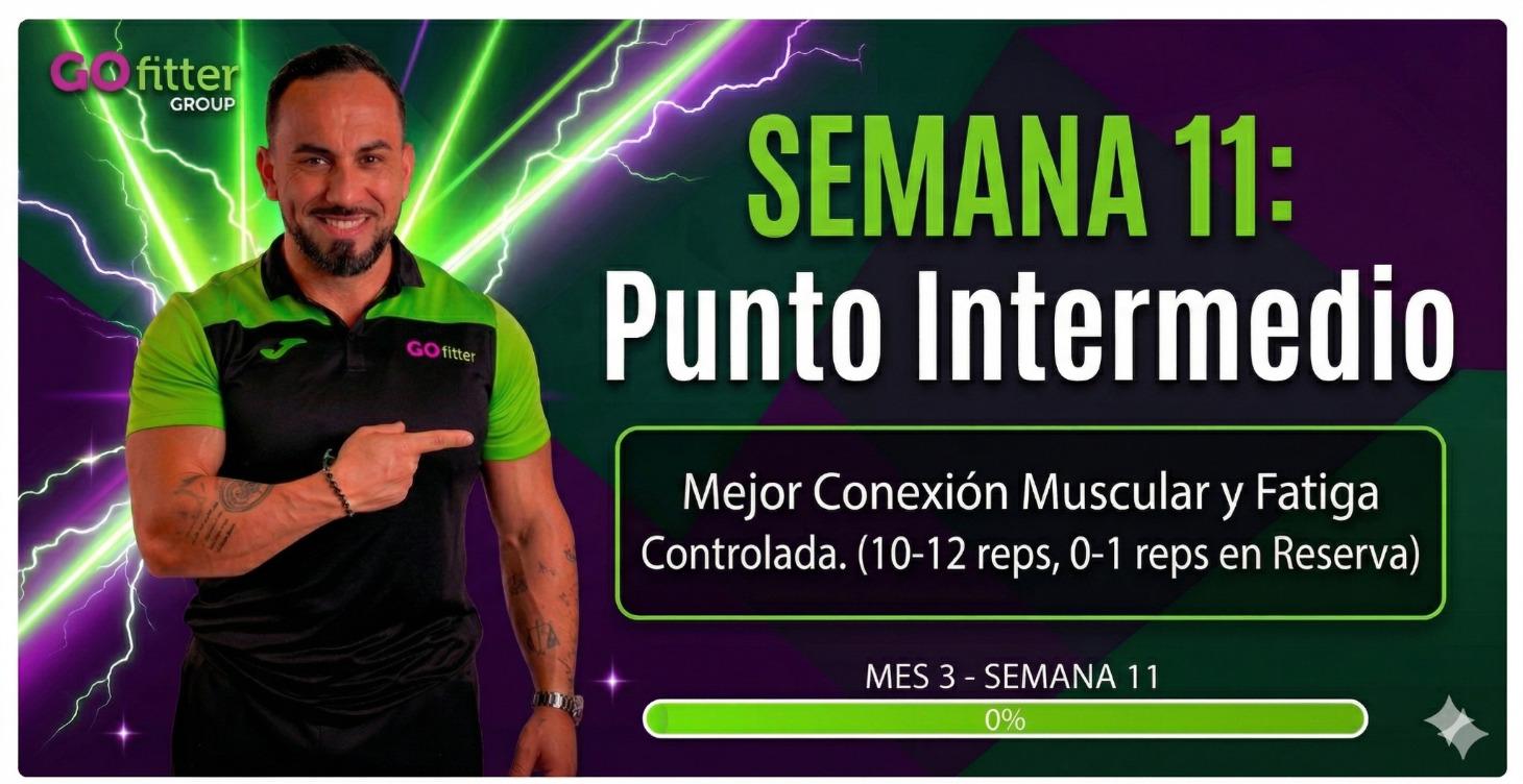 Semana 11