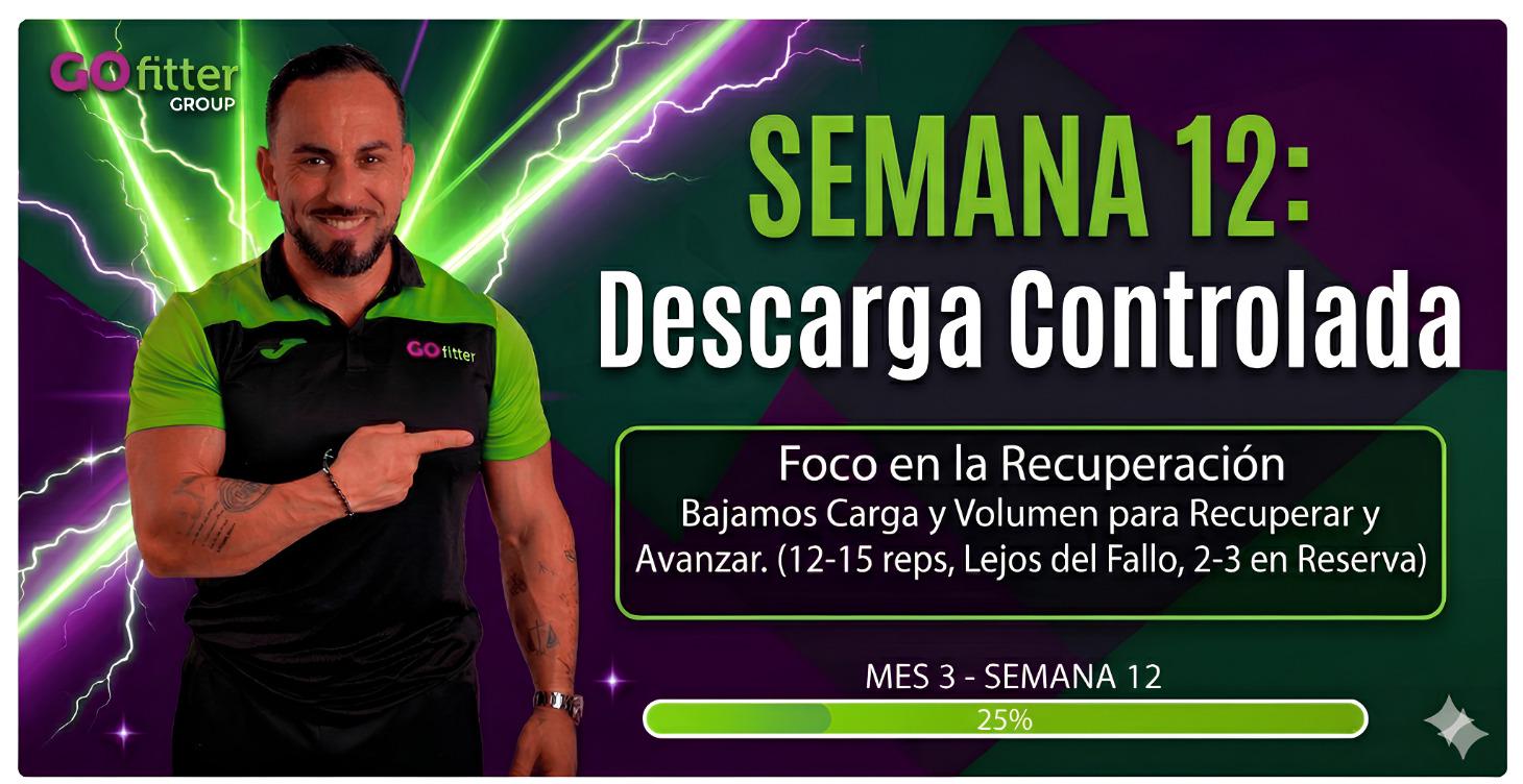 Semana 12