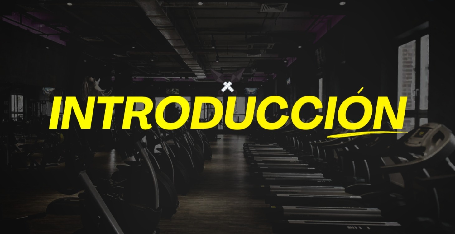 INTRODUCCION RETO