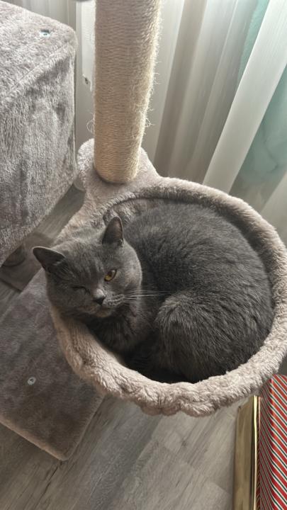 Myra Digitalmarketing