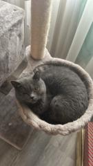 Myra Digitalmarketing