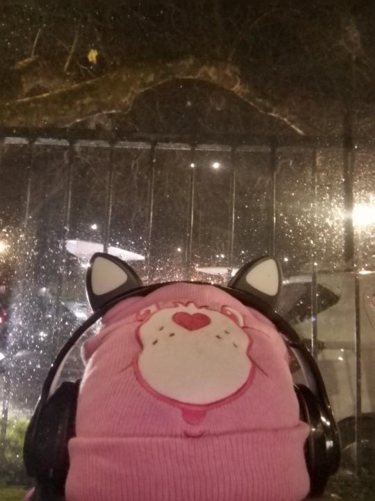 Stefanie Howard-Harding