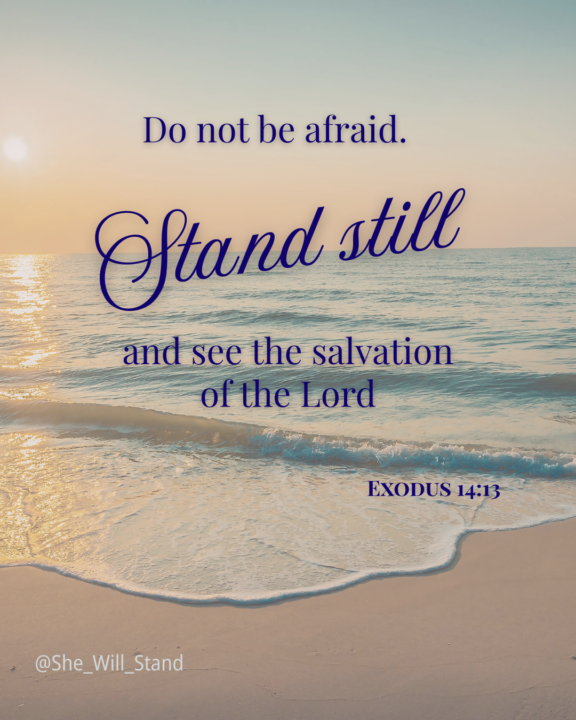 Stand Still