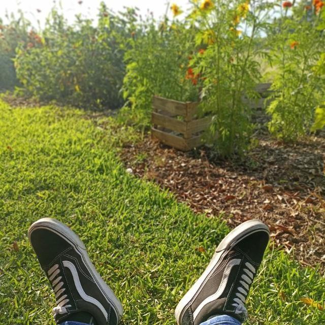 Carlos Alberto Osorio Cruz