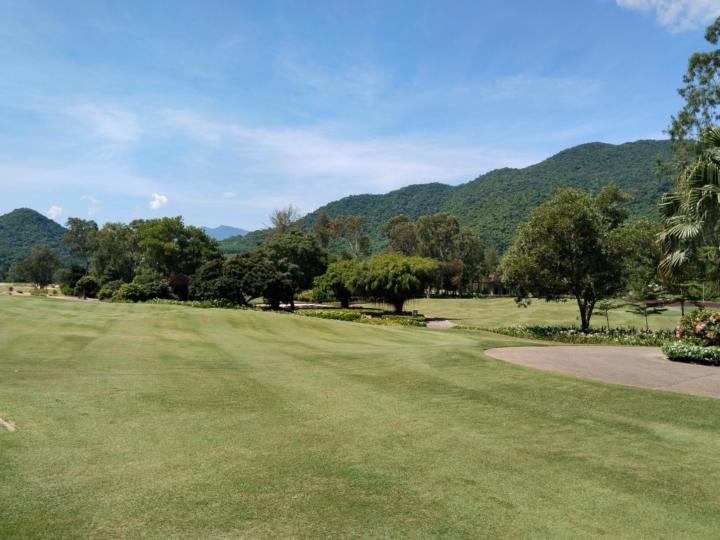 Phương Thảo Ngô