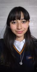 Artemisia Méndez