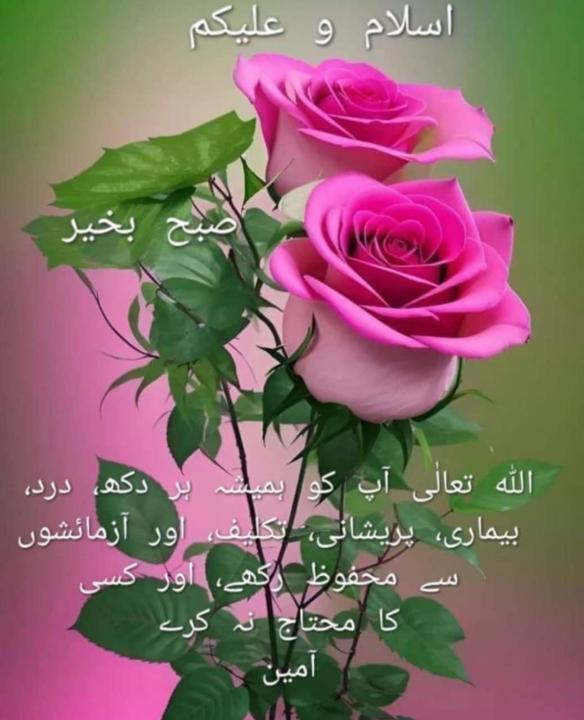 Umair Ghafoor
