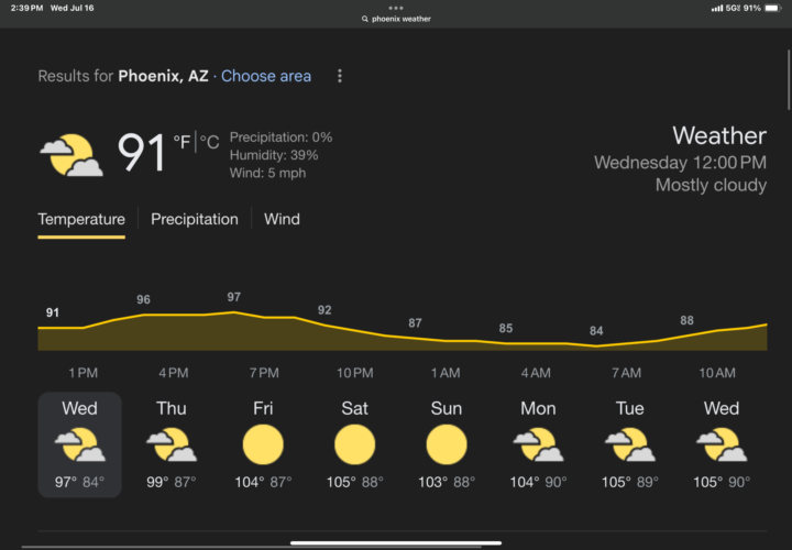 Beautiful summer day 