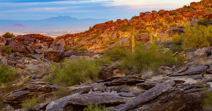 Hidden Gem of the Week 💥