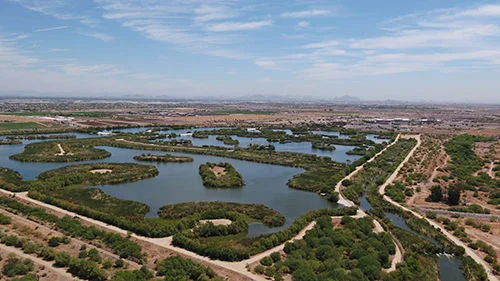 Hidden Gem of the Week🤗