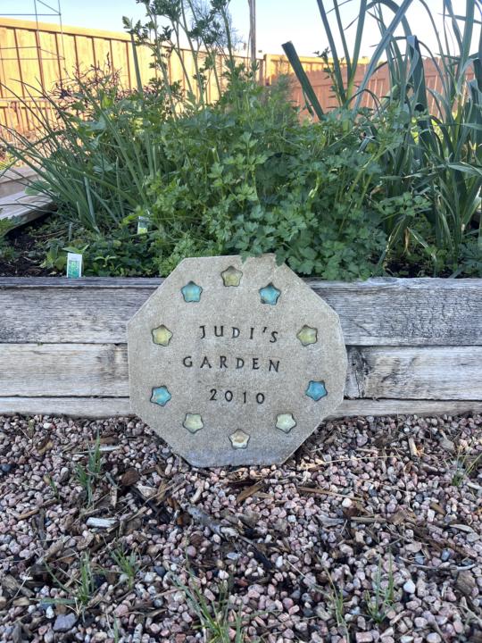 Judi’s Garden