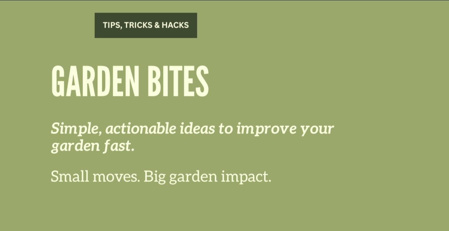 Garden Bites