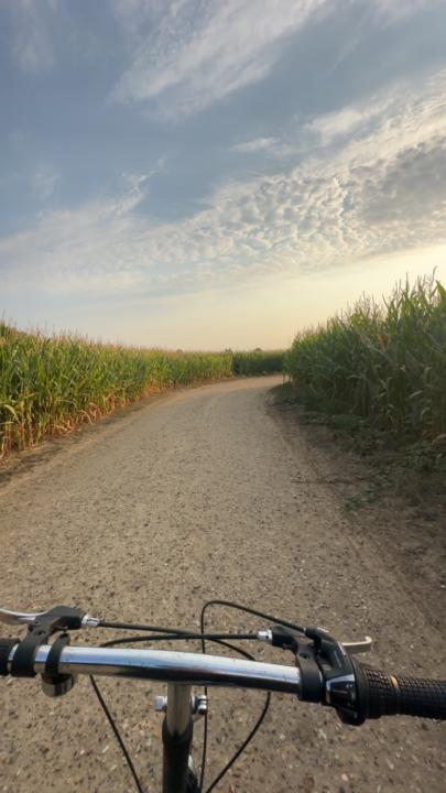 Fatima Zohra Addabani