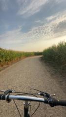 Fatima Zohra Addabani