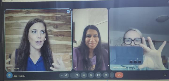 1.1 when one roomie shows up and she get's a 60 minute 1.1 sales & positioning strategy deep dive into her business! 