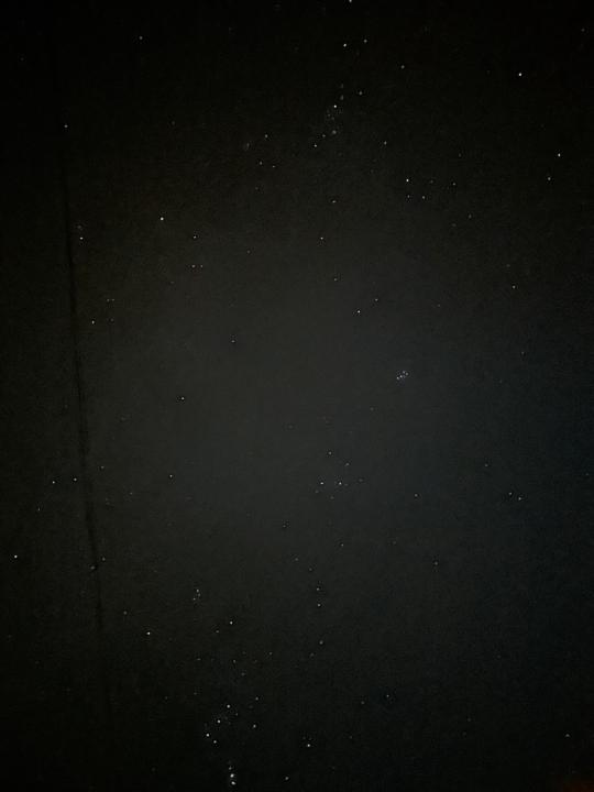 Kamilė Zakšauskaitė