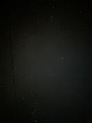 Kamilė Zakšauskaitė