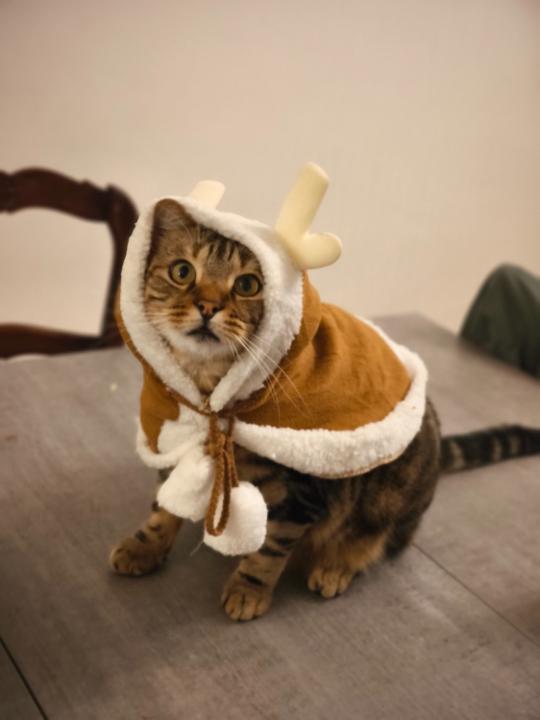 Clément Le Fouillé