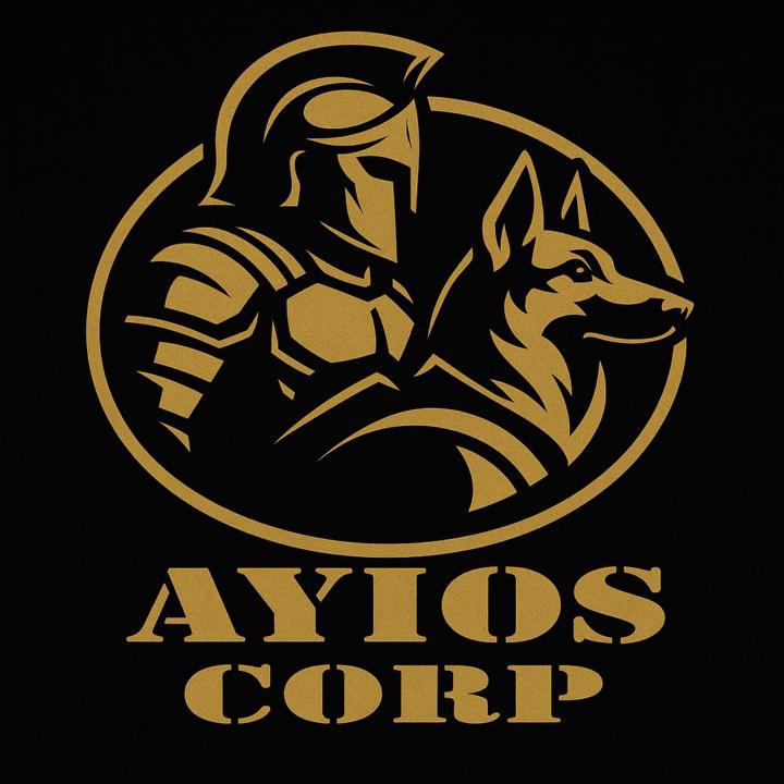 Ayios Academy