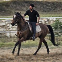 Muhammad Waleed
