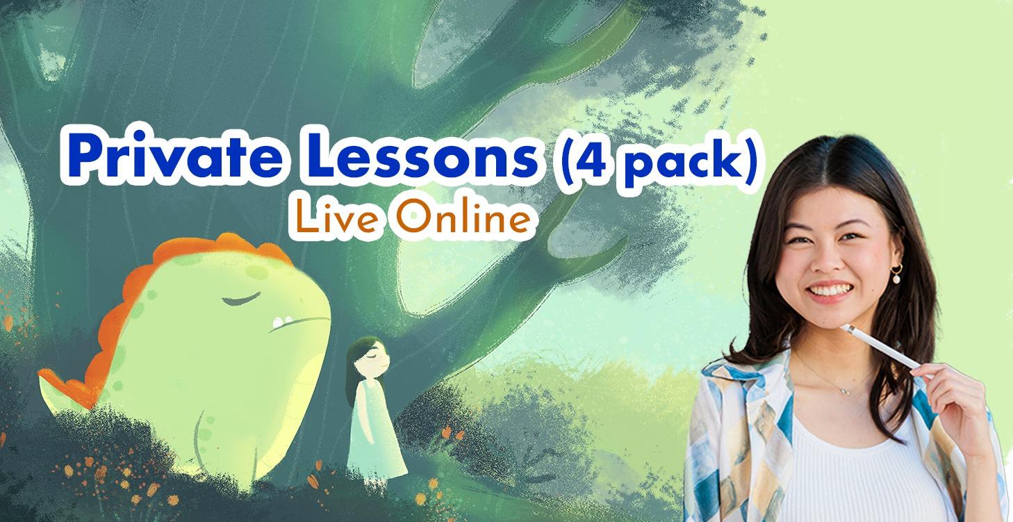 Private Lesson (Pack of 4 classes)