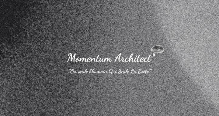 MOMENTUM ARCHITECT