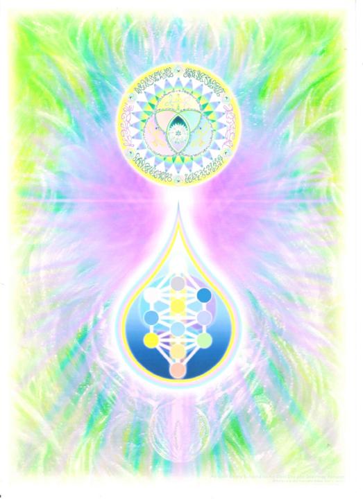 Indigo Wizard