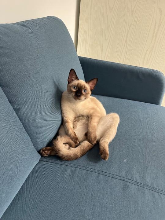 Fernando Guerra González