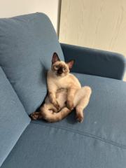 Fernando Guerra González