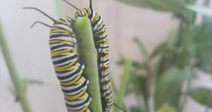 Women Building Equity