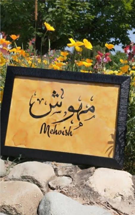 Mehwish Ashar