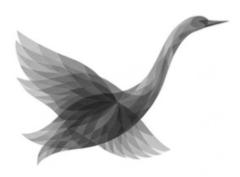 Grey Swan Signals