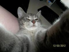 Andrijana Damjanovic