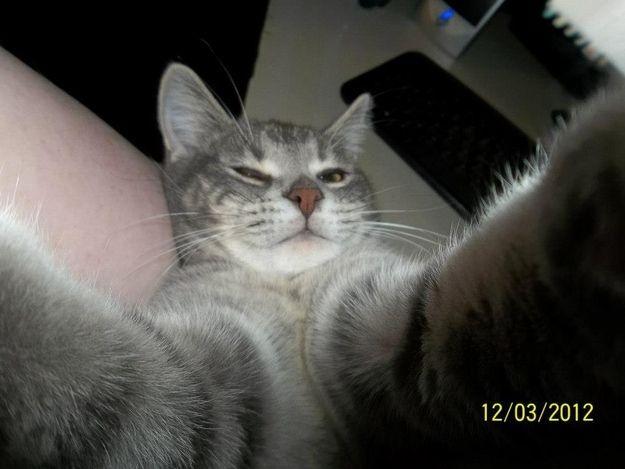 Andrijana Damjanovic