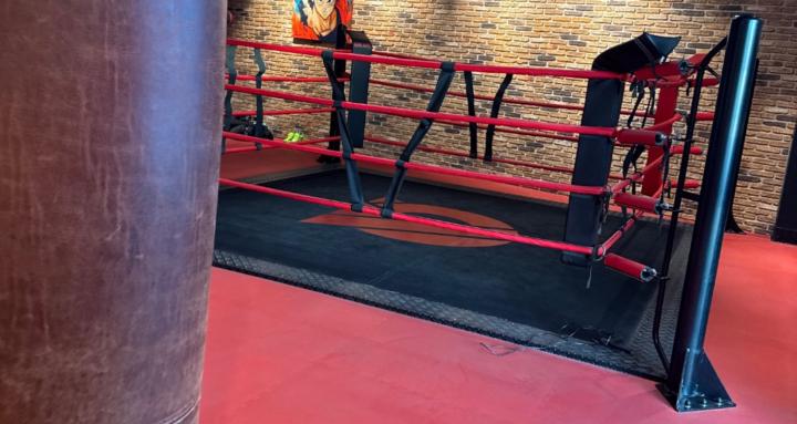 Bigaliboxing