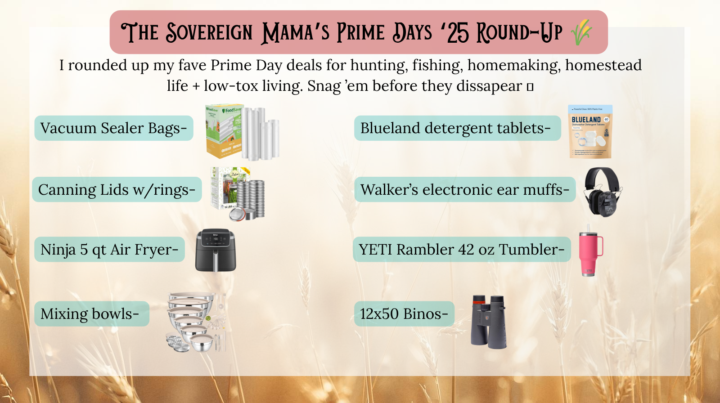 Current Amazon Prime Day Finds!