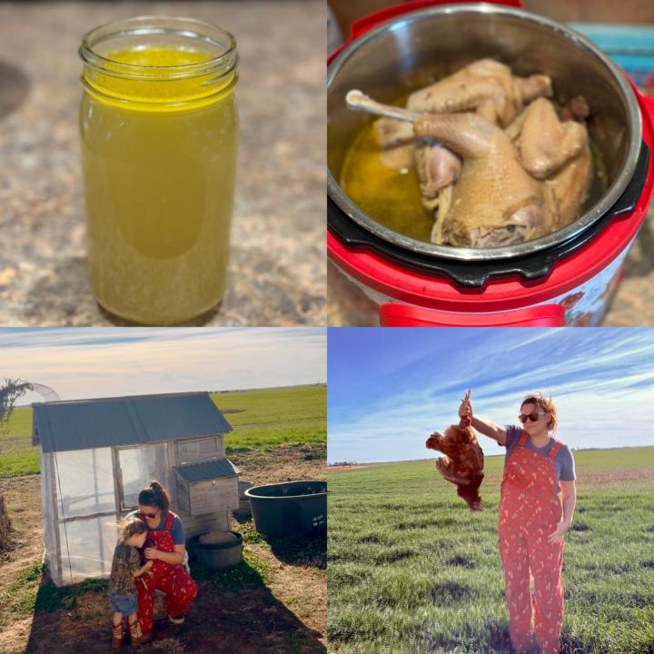 Butchering Day: Honoring the Animal, Teaching the Child, Using the Whole Hen