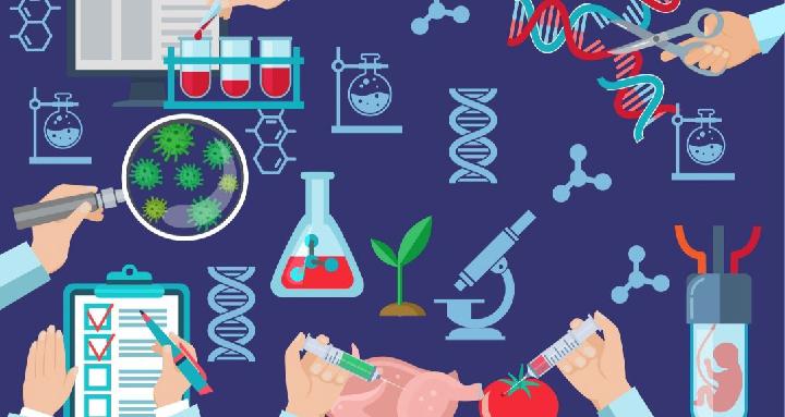 Allele Investor Network