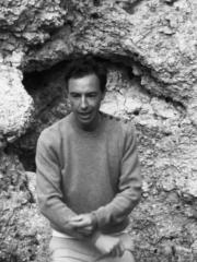 Johannes Quintens