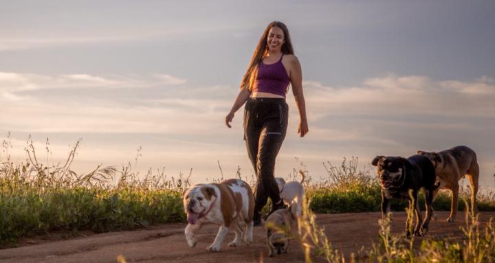 RDL Training Community