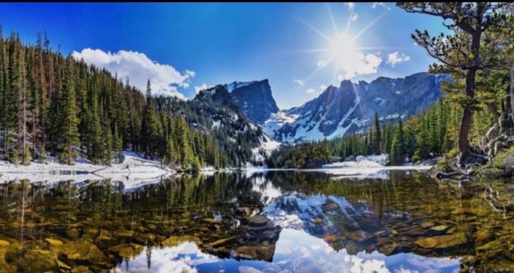 The Sober Wilderness