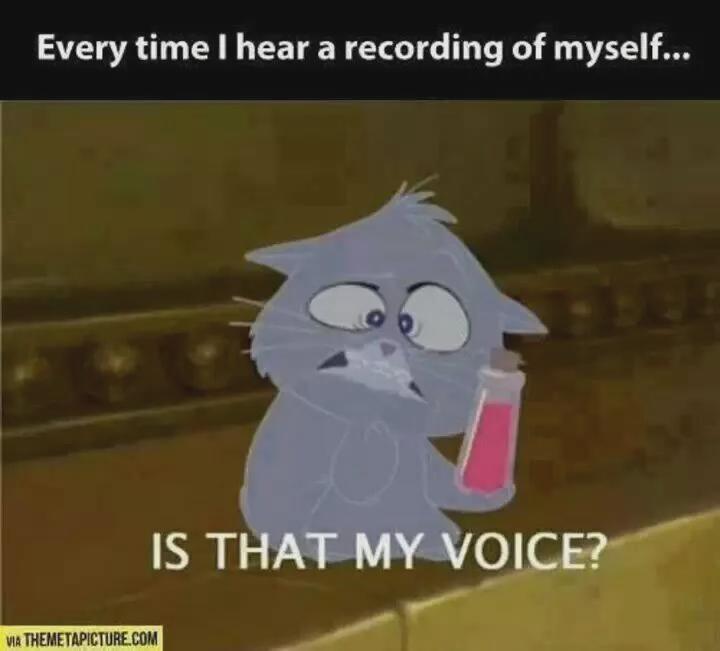 VO in a nutshell (meme) 